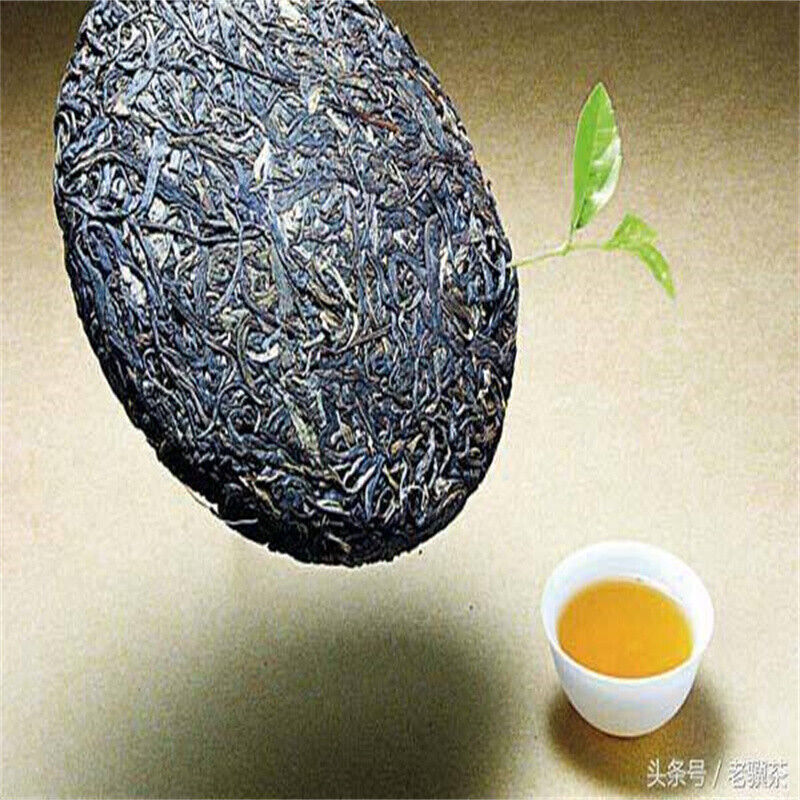 500g 2022 Haiwan Pa Sha Gu Shu Sheng Puer Tea Famous Mountain Aged Tree Raw Puer