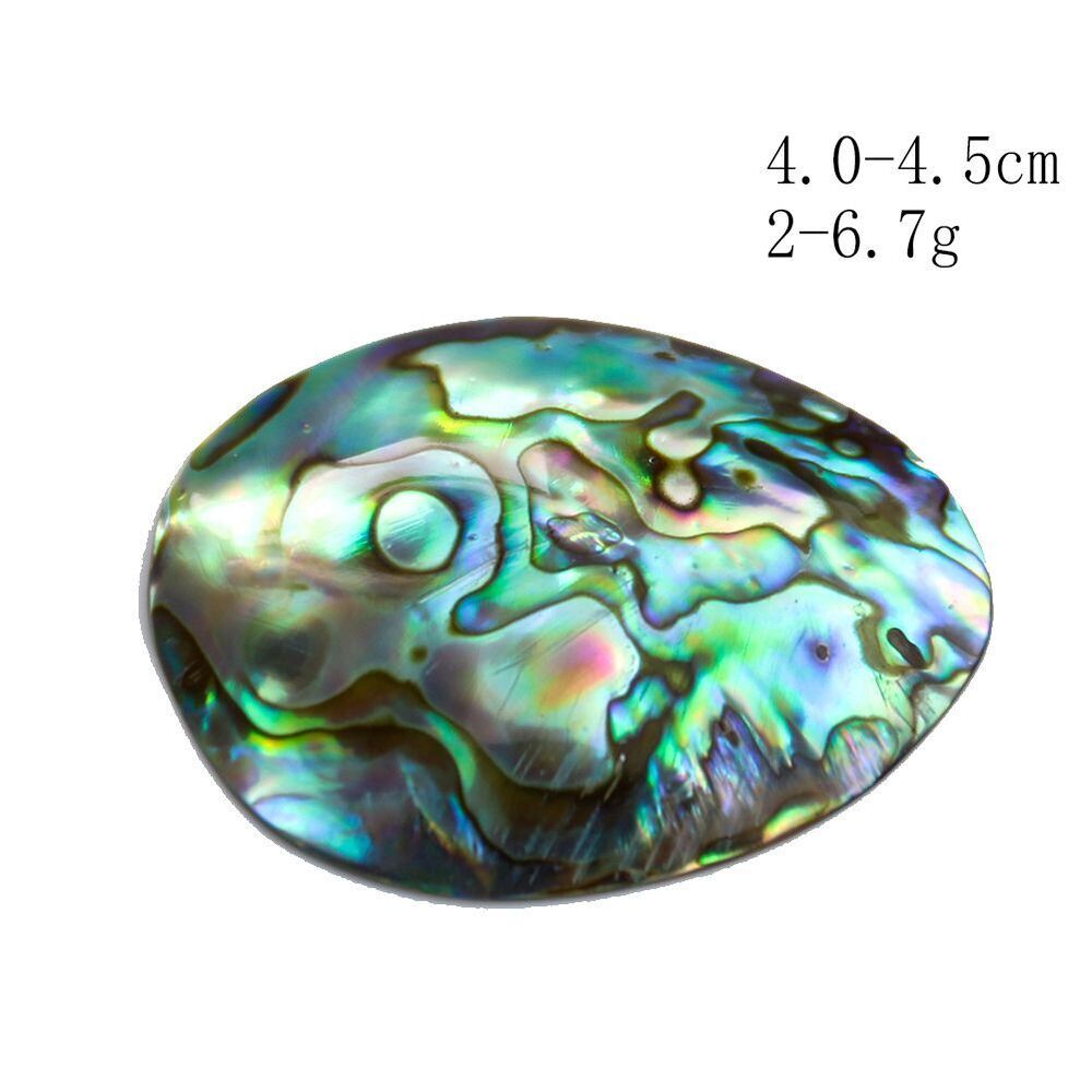 Sea Shells Conch Natural Abalone Aquarium Landscape Home Decoration 35-45mm 2Pcs