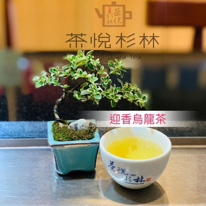 Taiwan unique tea,TTES No.20(Yingxiang),Shanlinxi Alpine Oolong Tea,150g*4