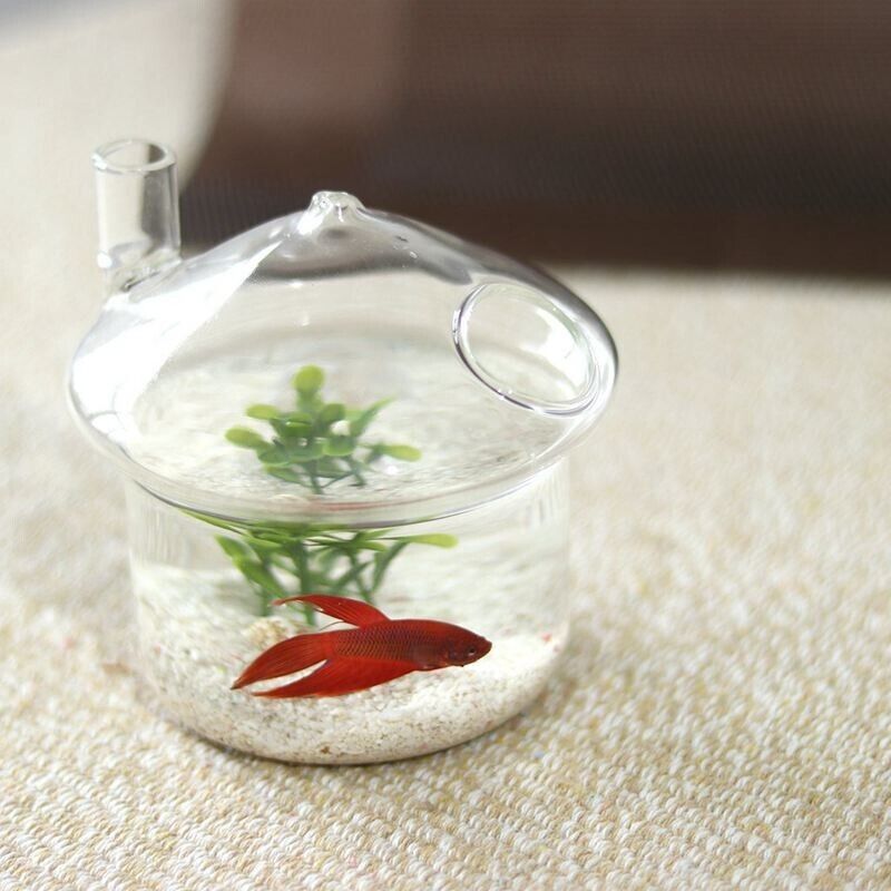 Hanging Glass Vase Mushroom-Shapes Planters Small Rumble Fish Tank 8.5x10x10.5cm