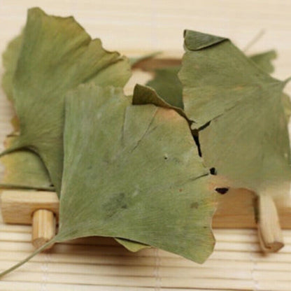 Chinese Ginkgo Tea Ecology Herbal Green Tea Health Care Ginkgo Biloba Leaves Tea