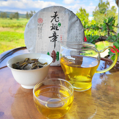 357g/12.59oz Ming Qian Ancient Spring Tea Pu'er Raw Tea Seven Seed Cake Tea