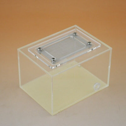 Ant Farm Castle Pet Supply Acrylic Reptile Box Insects Feeding Nest 10x7.5x6.5cm