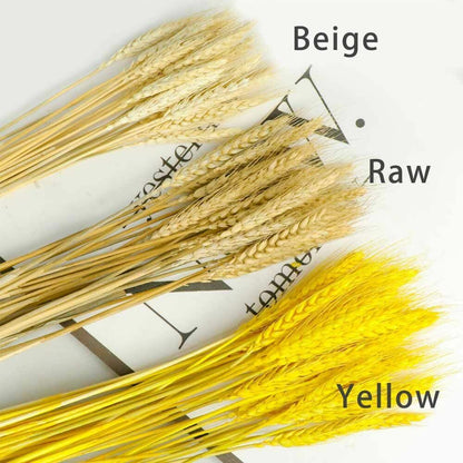 50Pcs/Lot Dried Wheat Ear Flowers Bouquet Decor Natural Pampas Rabbit Tail Grass