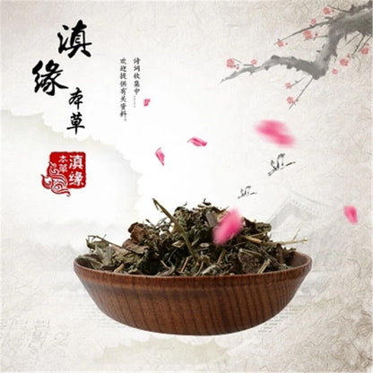 Medicinal Chinese Dried Xi Xian Cao (xi qian cao) /Siegesbeckia 100% Natural Tea
