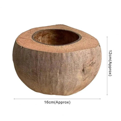 Natural Coconut Shell Bowls Multi-Purpose Decorative Handmade Storage 16x16x12cm