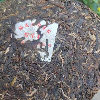 357g Old Puerh Raw Tea 2008 Yiwu Super Grade Raw Pu'er Cake Tea Aged Pu-erh Tea
