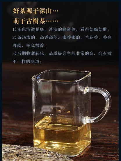 Pu-Erh, Sheng Jiayuan, Jingmai Mountain (pure material of ancient trees), 2017 Y, 357 g.