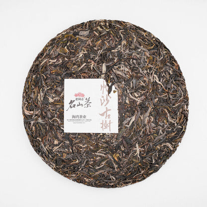Haiwan Pa Sha Gu Shu Sheng Puer Tea Famous Mountain Aged Tree Raw Puer 500g