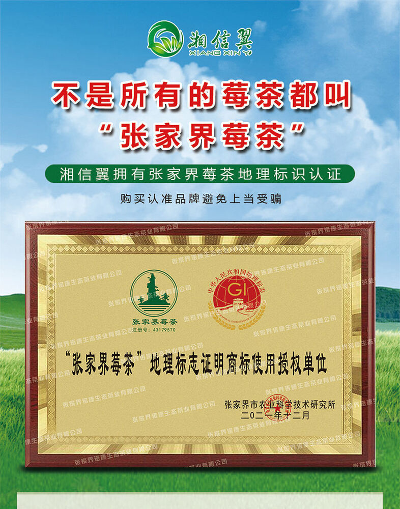 Special grade Mei tea bags with crushed bud tips 特级臻品莓茶藤茶包 碎芽尖莓茶正宗 40包/袋