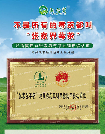 Special grade Mei tea bags with crushed bud tips 特级臻品莓茶藤茶包 碎芽尖莓茶正宗 40包/袋