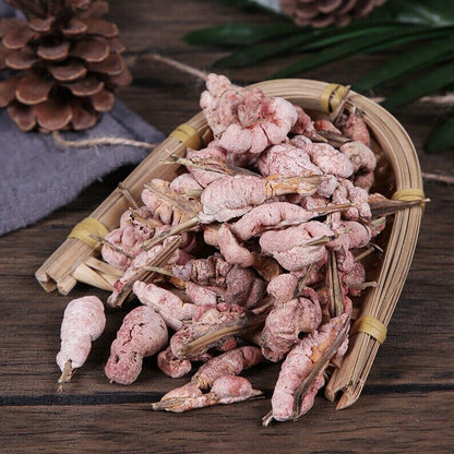 Recommend Dried Herb of Tabasheer Premium Shiraia Bambusicola Zhu Huanɡ Healthy