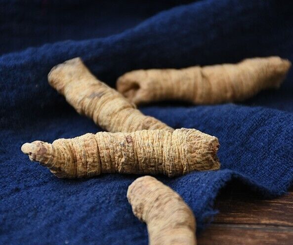 Natural Ba Ji Tian Morinda Root Morindae Officinalis Radix Chinese herbal tea