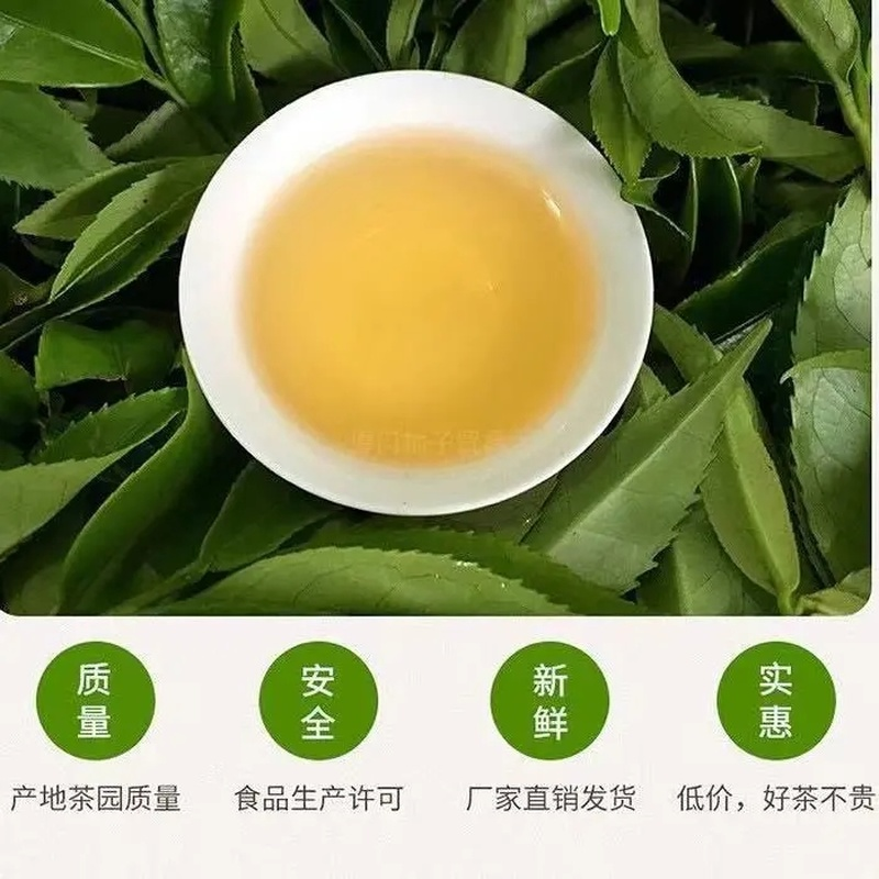 Chaozhou Phoenix Dancong Oolong Baiye DanCong Tea Tea