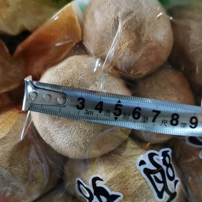 Chinese Dryware Premium Lion Mane Mushroom Heroicium Erinsceus Mushroom 250g-