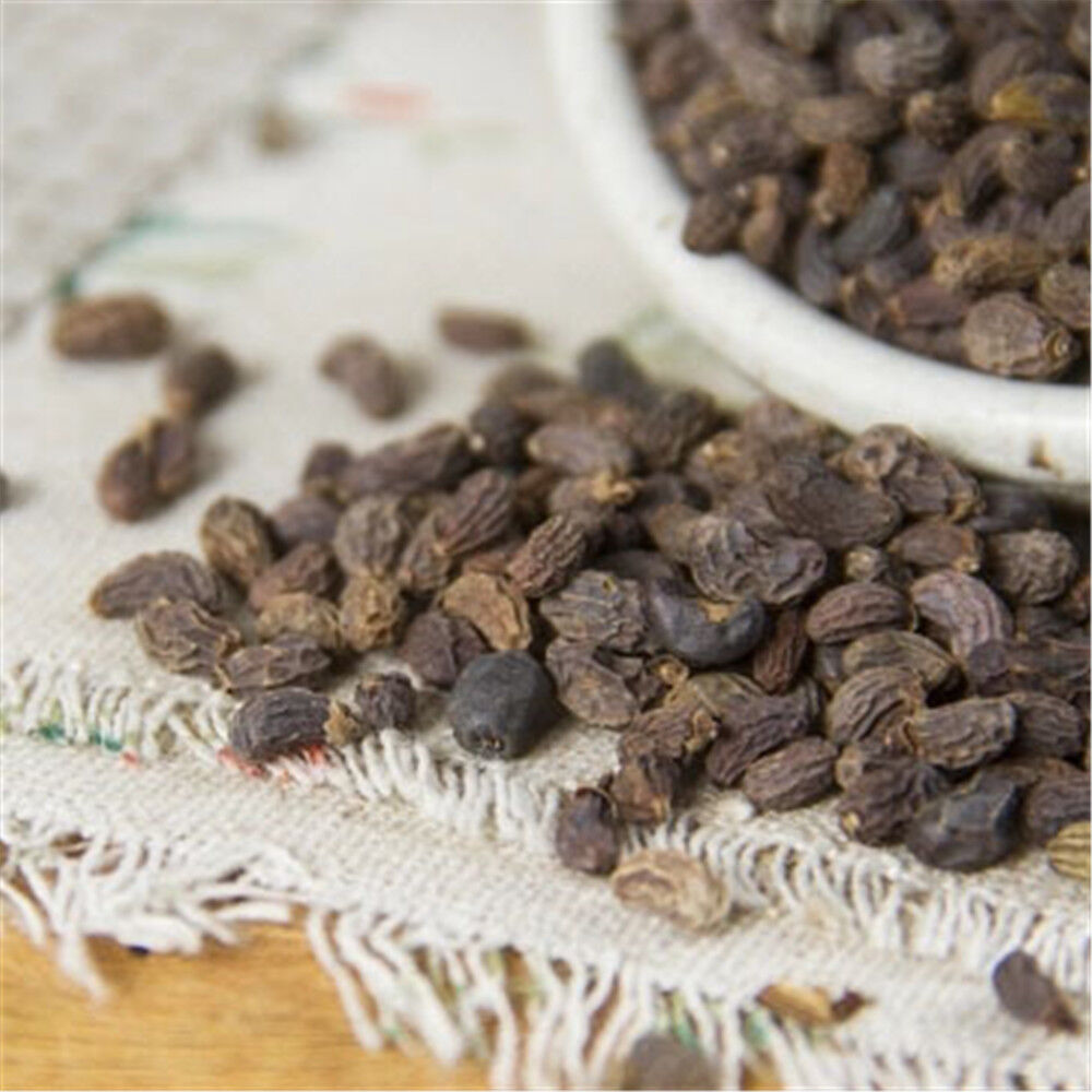100% Natural Ligustri lucidi Fructus Nv Zhen Zi 陳子 Chinese Herbal medicine