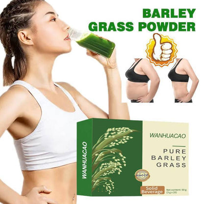 60Pcs Barley Grass Powder Pure & Organic, Naveta Pure Organic Barley