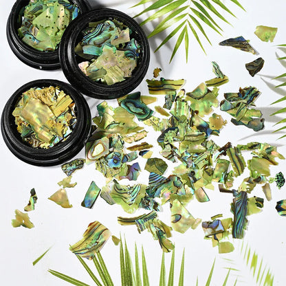 Nail Art Decor 3D Irregular Abalone Natural Sea Shell Stones DIY Accessory 1 Box