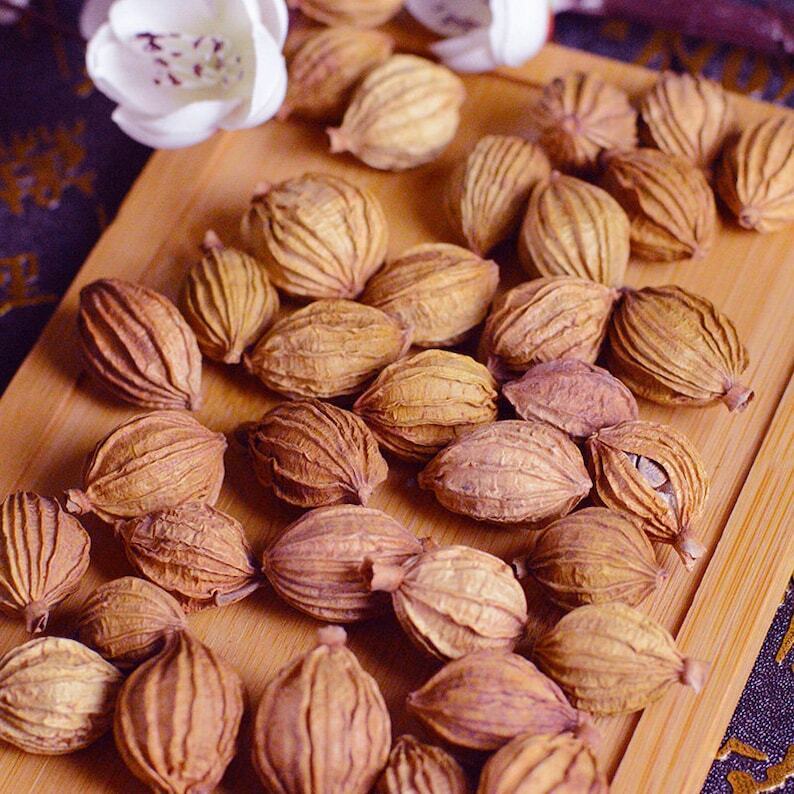 Dried Cocklebur-like Amomum Fruit Natural Fructus Amomi High Quality