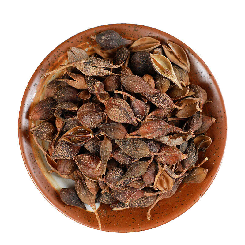 250g /500g Chinese Specialty Featured Forsythia Lianqiao Health Tea 连翘