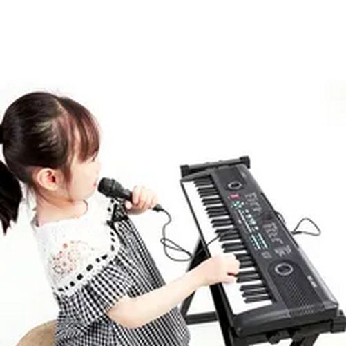 Electronic Piano 61 Keys Portable Digital Keyboard With Microphone Instrument