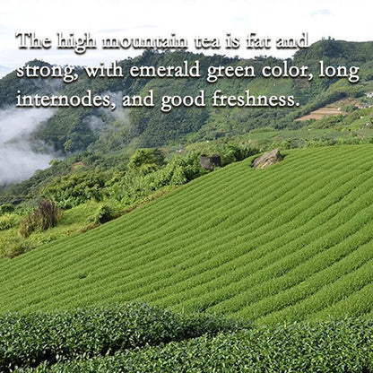 milk Oolong Tea Taiwan Alpine Alishan Milk Oolong Loose Tea Leaves JinXuan Tea