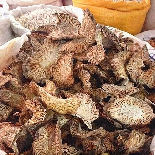Guangxi Wild LongGuFeng/Chinese herbal 广西野生龙骨风中药材 大贯众 飞天擒罗