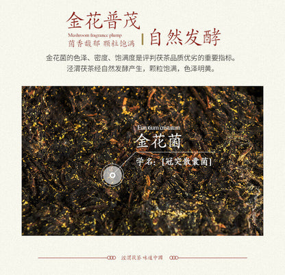 Jingwei Fu Cha Shaanxi Qizi Jinhua Fu Tea Golden Flower Tea Brick 357g Black Tea