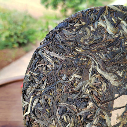 Scraping Walled Pu'er Tea Cake Yiwu Ancient Raw Tea First Spring Organic Tea