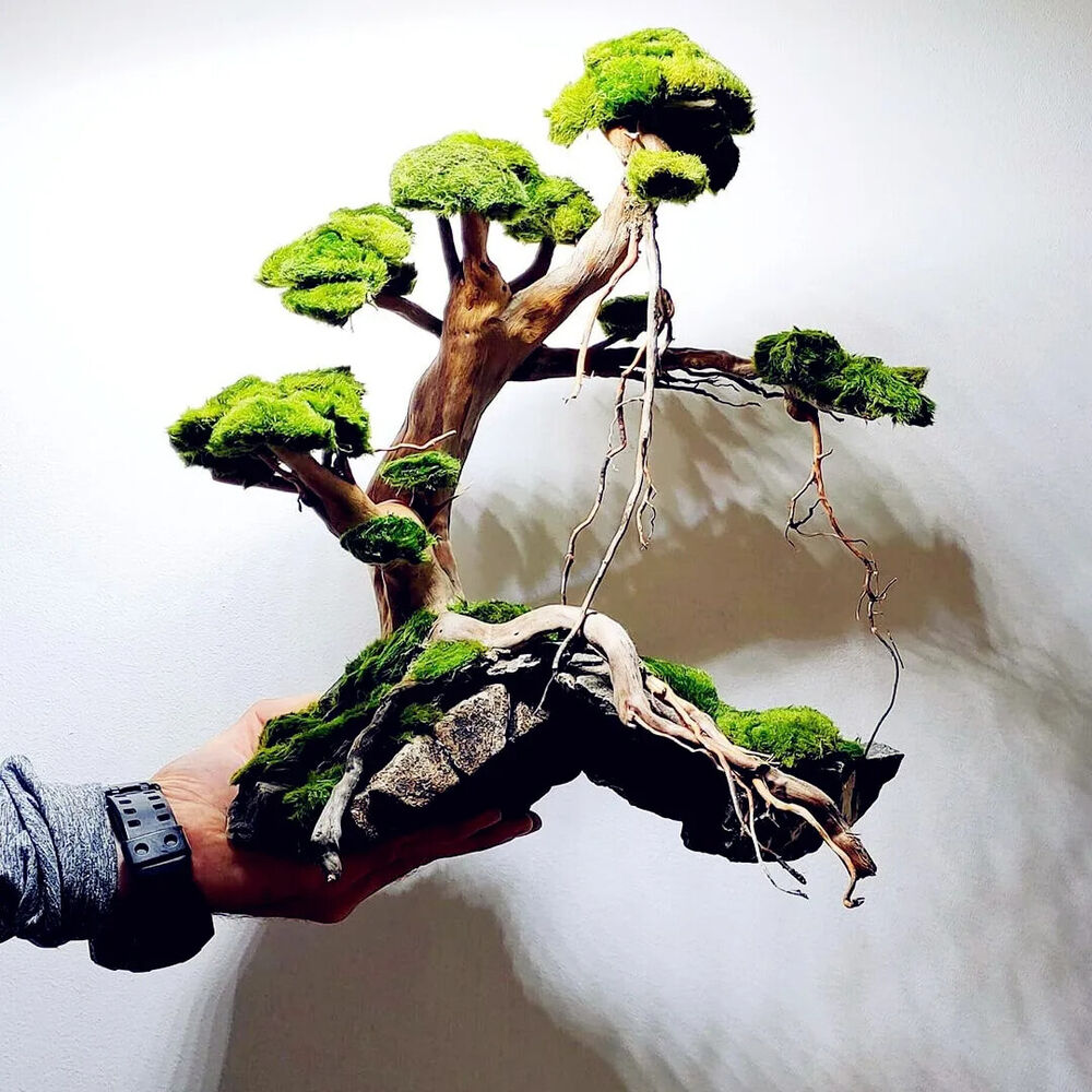 Aquarium Ornament Wood Bonsai Christmas Tree Tank Moss Trunk Driftwood DIY Decor