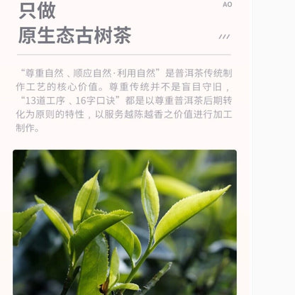 普洱茶，2016，小景谷小景谷，357克，生的