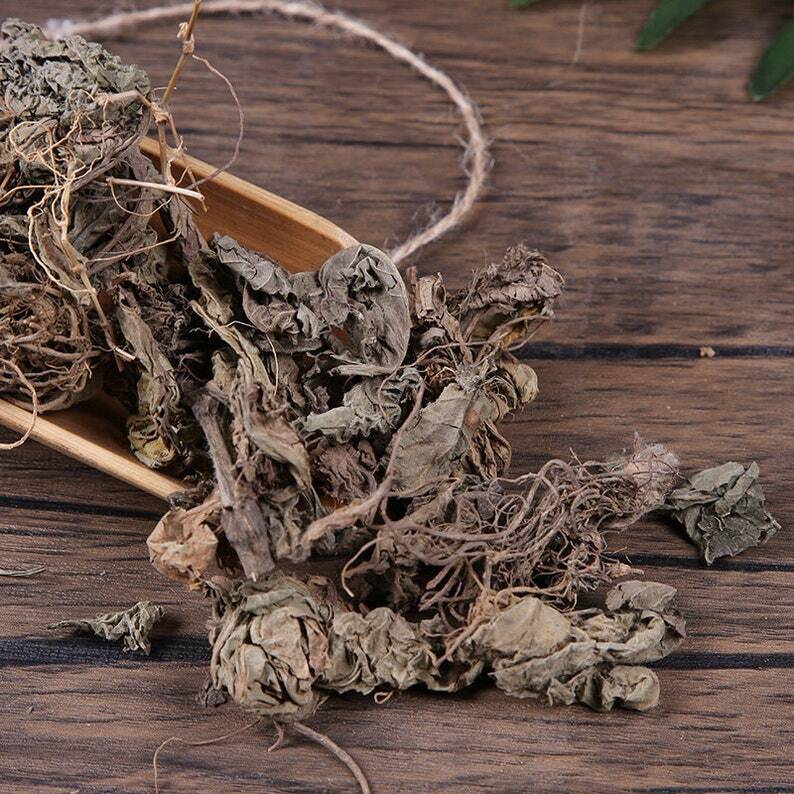 Organic Herbal Elephantopi Di Dan Cao Elephantopus Herb Great Quality