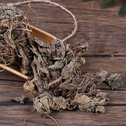 Organic Herbal Elephantopi Di Dan Cao Elephantopus Herb Great Quality