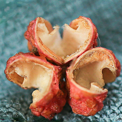 Premium Sichuan Pepper Natural Seasoning Cooking Ingredient Prickly Peppercorns