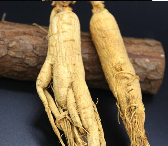 Changbai Mountain Dry White Ginseng Root 6-year-old Ginseng Root Chinese Herbal Medicine-