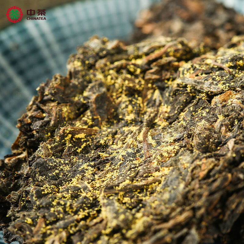 Chinatea Jinhua Mm Hunan Anhua Golden Flowers Fucha Dark Tea Brick 金花茯砖茶 360g