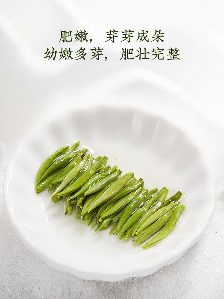 Ming Qian Silver Jar Que She Tea Sparrow's Tongue Green Tea 100g 乐品乐茶 雀舌 绿茶