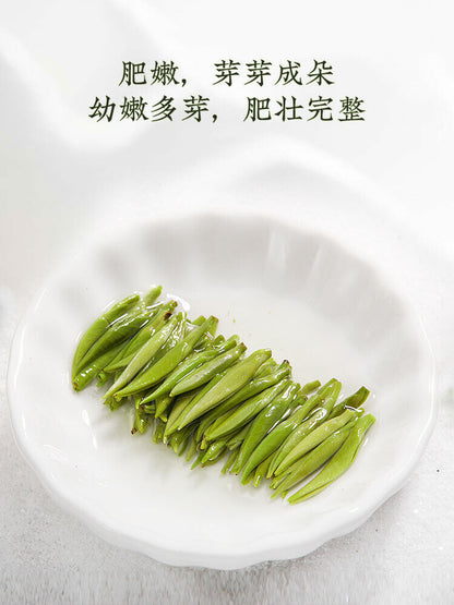 Ming Qian Silver Jar Que She Tea Sparrow's Tongue Green Tea 100g 乐品乐茶 雀舌 绿茶