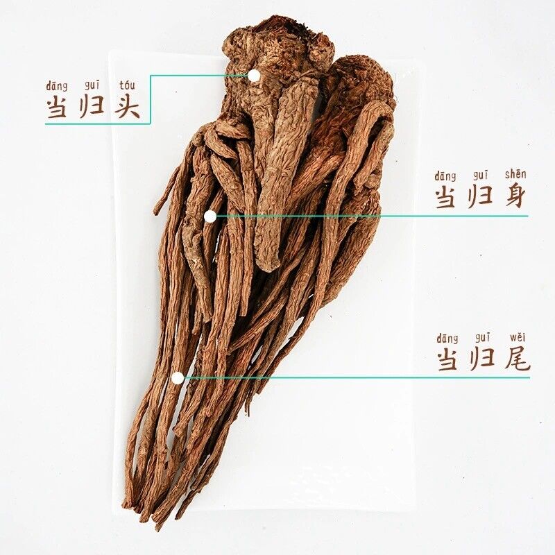 Dried Radix Angelica Sinensis Root Premium Dong Quai Dang Gui 当归 Chinese Herbs