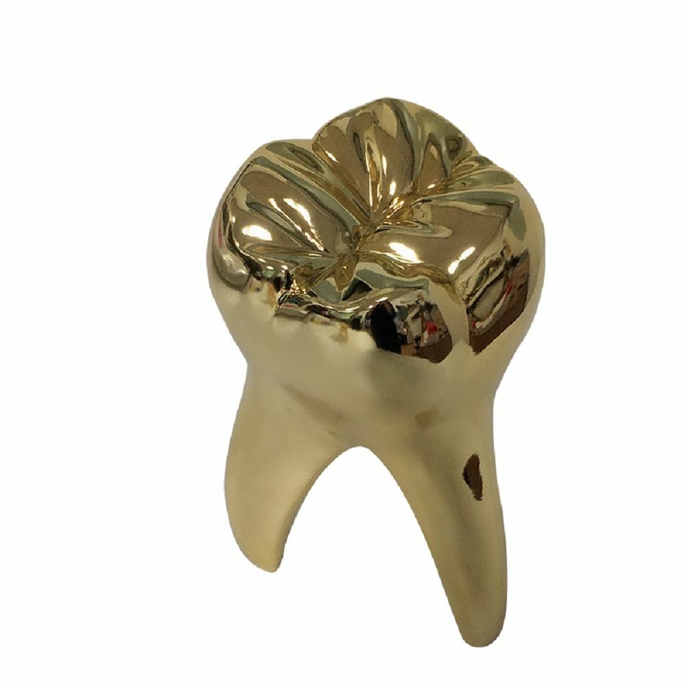 Golden Tooth Model Figurines Dentist Gift Ornament Crafts Sculpture Resin 14x8cm