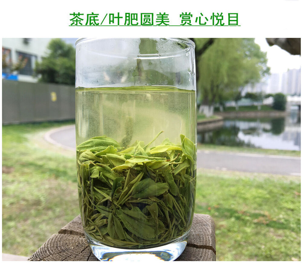 Premium Hubei En Shi Yu Lu Jade Dew Tea EnShi Se-Tea High Mountain Green Tea
