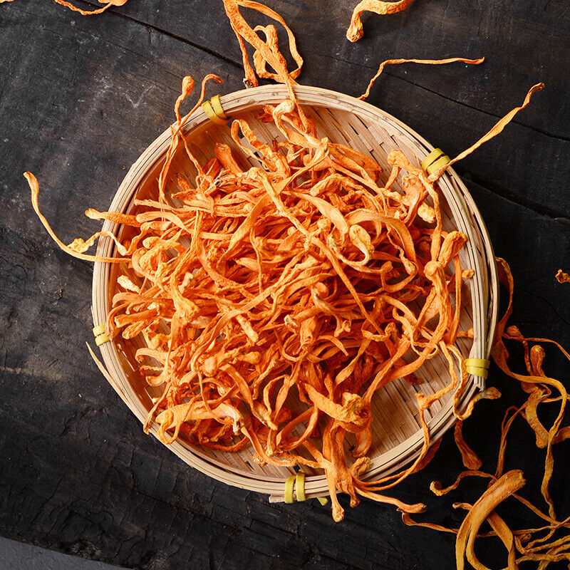 Cordyceps Militaris/Chong Cao Hua 虫草花 /North Herbal Cordyceps Flower