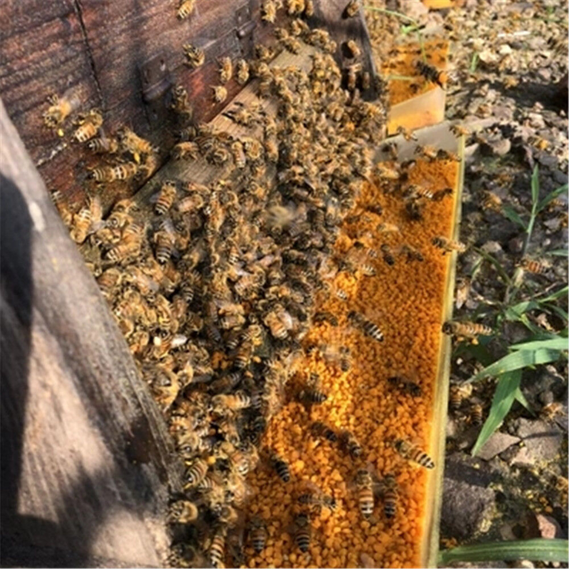 High Quality 100% Natural Bee Pollen Organic Herbs Harvest