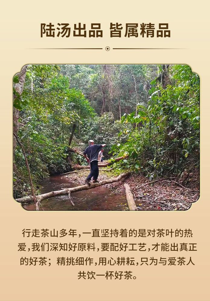 Pu-Erh, Lu Tang, Boundary, 2020y, 357g, Raw