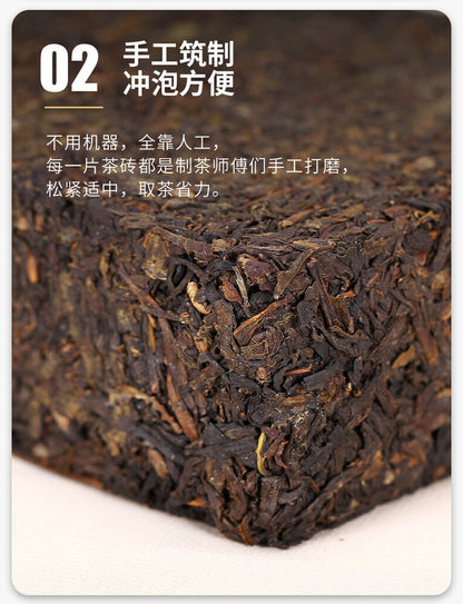 CHINATEA Brand MM Hunan Anhua Golden Flowers Fucha Dark Tea 360g Brick Fu Zhuan