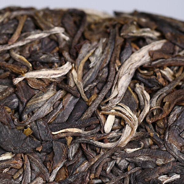 500g Haiwan High Mountain Puerh Tea Ancient Tree Comrade Batch 191 Puer Tea