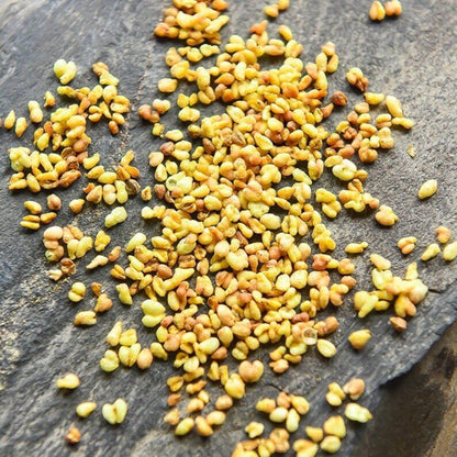 Top Quality Organic Yellow Tartary Buckwheat Tea, Buckwheat tea