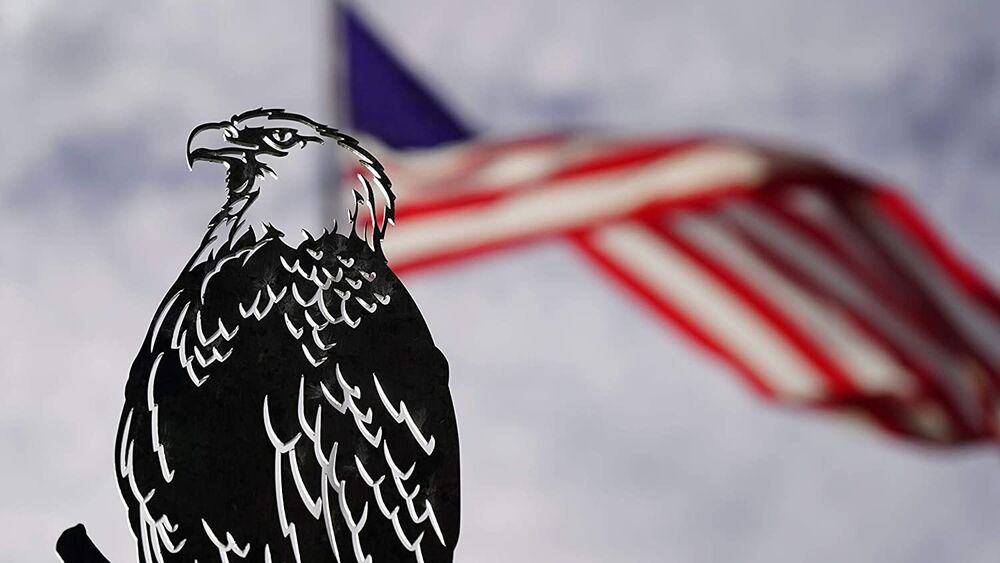 Bald Eagle Decoration | Garden Art | Backyard Art | Tree Art | Silhouette Art