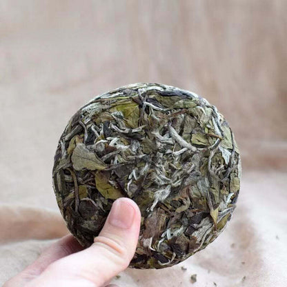 Organic Hand Split White Tea Cake Shoumei / White Peony White Tea Healthy Drink