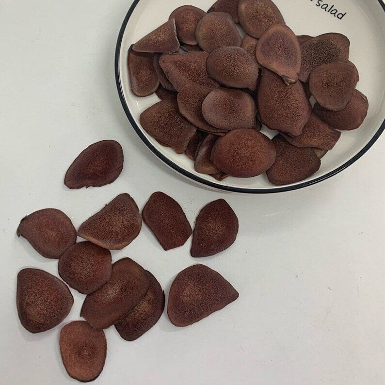 Natural Red deer velvet antler slices / Lu Rong Slices Exotic Herb